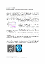 미생물 레포트-4