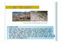 에너지와 환경 두번째 레포트-10