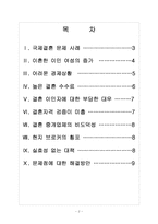 [국제결혼]국제결혼의 문제점과 해결방안 보고서-2