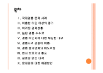 [국제결혼]국제결혼의 문제점과 해결방안 PPT자료-2