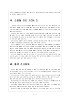 [중국인 관광객] 중국인 관광객 특징과 현황 유치 활성화 방안-8