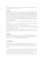 레지오 에밀리아의 교육과정00-15