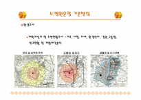 병원건립의 과정 및 검토사항-17