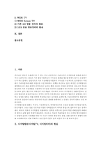디지털방송(디지털TV,디지털티비) 기대효과, 미국, 영국, 일본 디지털TV(디지털방송) 사례, 디지털방송(디지털TV,디지털티비) 문제점과 과제-2