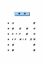 플스방 사업계획서와 마케팅전략기획서-2