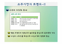 진로소주`J`제품분석과 소주시장분석-6