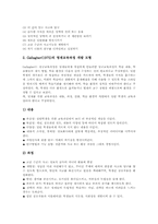 발명영재 특성, 발명영재교육 목표, 발명영재교육 교육과정모형, 발명영재교육 교수학습, 발명영재교육 평가방법, 발명영재교육 개선방향 분석-6