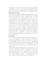 [마케팅] 브랜드 확장 전략 사례 분석-12