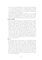 [마케팅] 브랜드 확장 전략 사례 분석-14