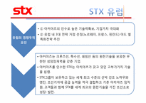 [국제경영론] STX 조선의 국제경영 현황과 바람직한 미래-13