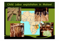 [국제정치론] Child Labor Exploitation(아동 노동력 착취)와 인권에 관한 고찰-11