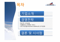 South West Airline(사우스 웨스트 항공)의 경영 전략-2