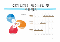 [재무제표] 농심과 CJ의 재무제표 분석-4