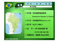 [국제경제관계] 브라질의 경제전망과 한국의 대응-3
