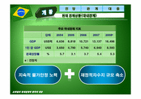 [국제경제관계] 브라질의 경제전망과 한국의 대응-5