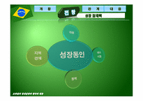 [국제경제관계] 브라질의 경제전망과 한국의 대응-7