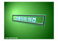 [국제경제관계] 브라질의 경제전망과 한국의 대응-15