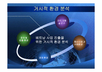 [다국적기업론] SK 텔레콤의 베트남 CDMA 셀룰러 사업 사례 연구-5
