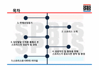 [조직과인간] SPRIS(스프리스)의 성공적인 팀 분석-3
