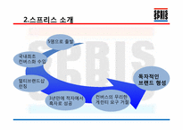 [조직과인간] SPRIS(스프리스)의 성공적인 팀 분석-5