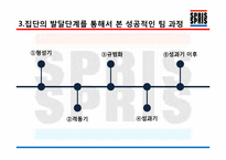 [조직과인간] SPRIS(스프리스)의 성공적인 팀 분석-8