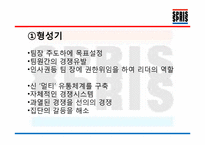 [조직과인간] SPRIS(스프리스)의 성공적인 팀 분석-9
