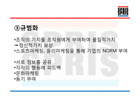 [조직과인간] SPRIS(스프리스)의 성공적인 팀 분석-11