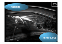 [기체역학] 생체, 환경에서의 기체역학-5