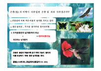 [기체역학] 생체, 환경에서의 기체역학-7
