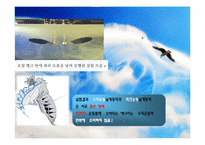 [기체역학] 생체, 환경에서의 기체역학-8