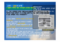 [기체역학] 생체, 환경에서의 기체역학-13