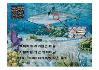 [기체역학] 생체, 환경에서의 기체역학-17