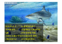 [기체역학] 생체, 환경에서의 기체역학-18