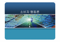 [소비자행동론] 구매와 구매 후 행동에 관한 분석-1