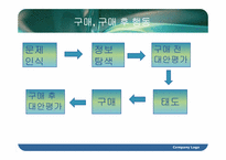 [소비자행동론] 구매와 구매 후 행동에 관한 분석-3
