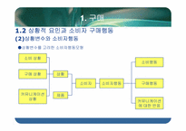 [소비자행동론] 구매와 구매 후 행동에 관한 분석-10