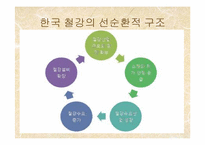 [정치경제학] 한국의 철강 산업-5