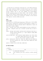 [국제마케팅] 한국기업의 현지 마케팅전략의 성공적인 사례(라네즈의 중국 현지마케팅 성공 분석)-17