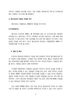 [마케팅원론] 삐삐 사업기획서-8