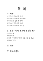 [청소년복지] 성문제 청소년 관련 기관 방문(아하 청소년 성문화 센타)-2