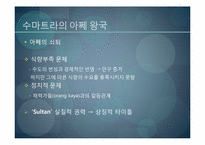 [마인문화사] 새로운 군소왕국 시대-6