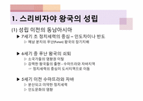 [마인문화사] 스리비자야 왕국-3