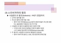 [마인문화사] 스리비자야 왕국-6