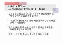 [마인문화사] 새로운 군소 왕국 시대-3