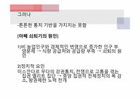 [마인문화사] 새로운 군소 왕국 시대-7