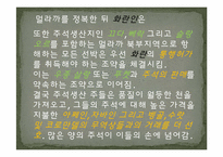 [마인문화사] 멀라까 해협의 화란인-12