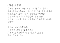 [마인문화사] 이슬람화 과정에 나타난 설화와 인도네시아 이슬람화의 특성-13