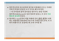 [마인문화사] 이슬람 무역 왕국(말라카 왕국)과 인도네시아 고대왕국의 특성-3