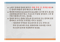 [마인문화사] 이슬람 무역 왕국(말라카 왕국)과 인도네시아 고대왕국의 특성-4