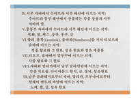 [마인문화사] 이슬람 무역 왕국(말라카 왕국)과 인도네시아 고대왕국의 특성-6